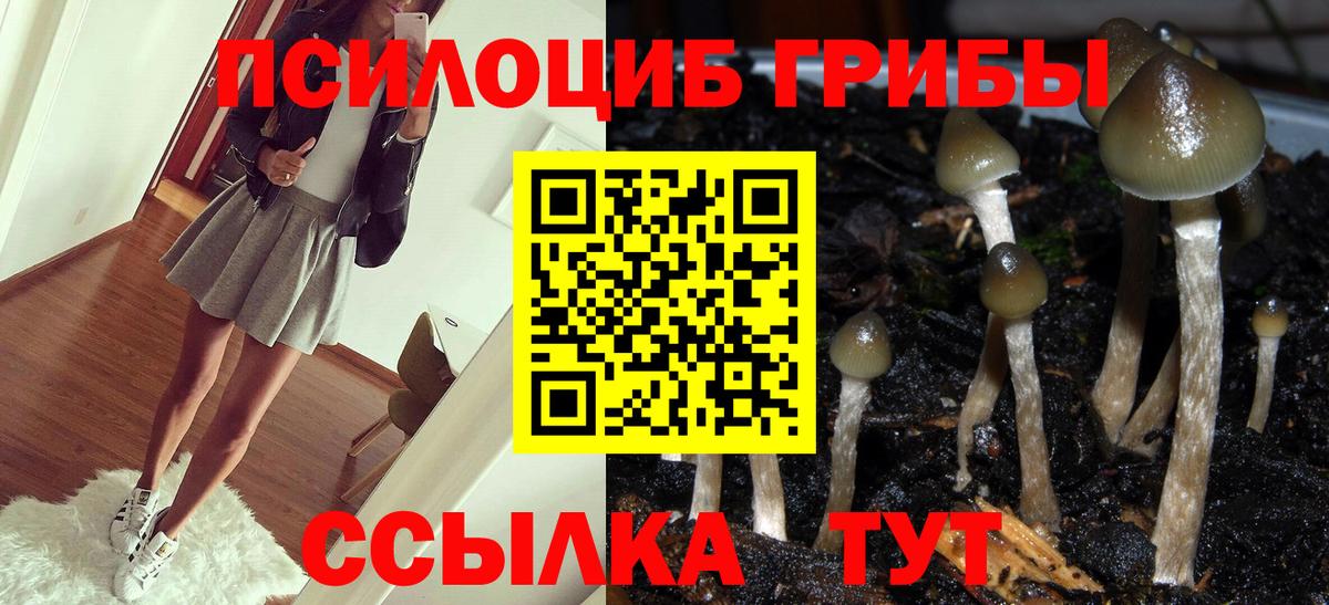 Галлюциногенные грибы мицелий  Вход с VPN  Бугуруслан 
